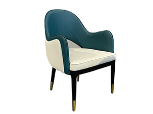 Design Dining Chair Leather Chair