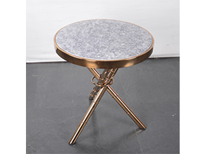 Stainless Steel Gold Leg Solid wood Coffee Side Table