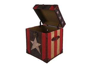 Canvas Trunk With Star 