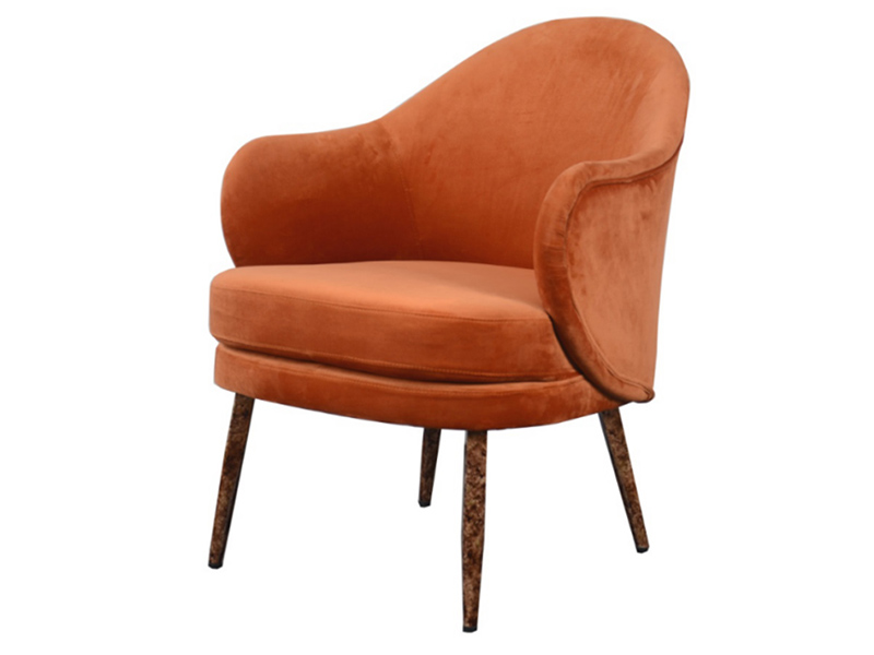 Lounge Ergonomic Velvet Fabric Dining Chairs