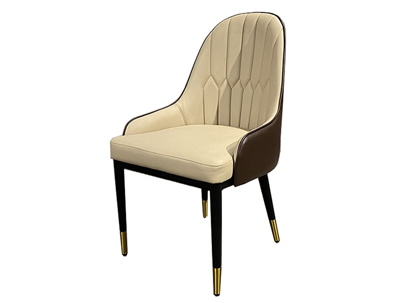 Indoor Home Furniture Dining Chair