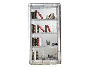 Aluminum Living Room Bookshelf