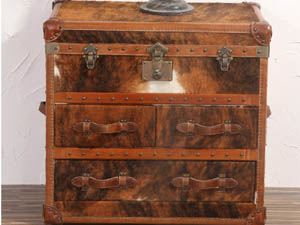 Pony Skin Leather Chest with Drawers